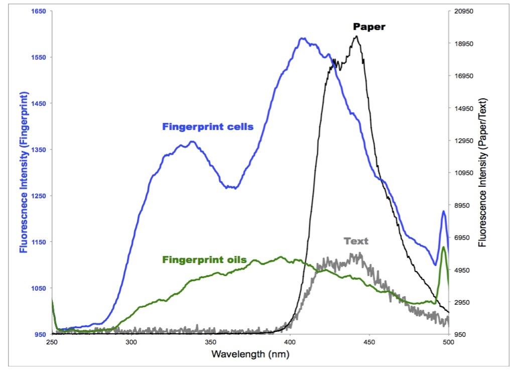 Fluorescence spectra of fingerprints and paper background