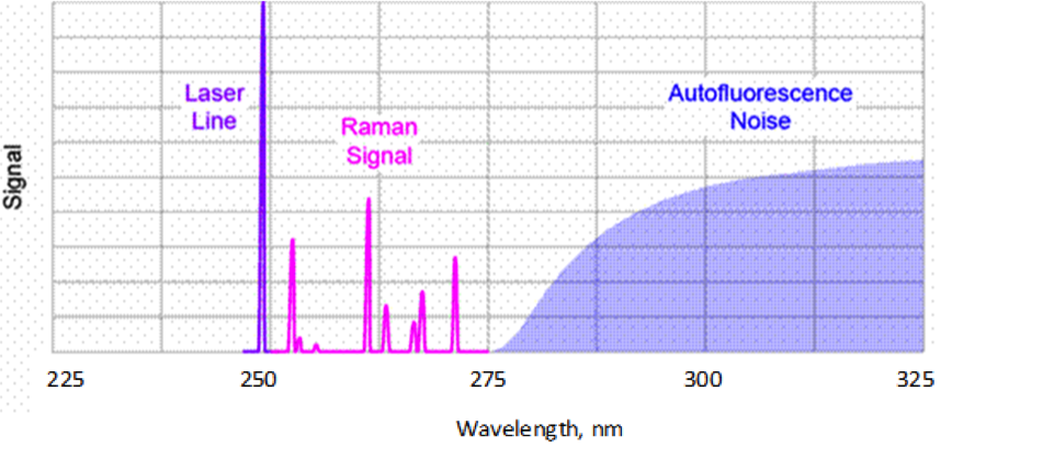 Separation of Raman Signal and Autofluorescence Noise