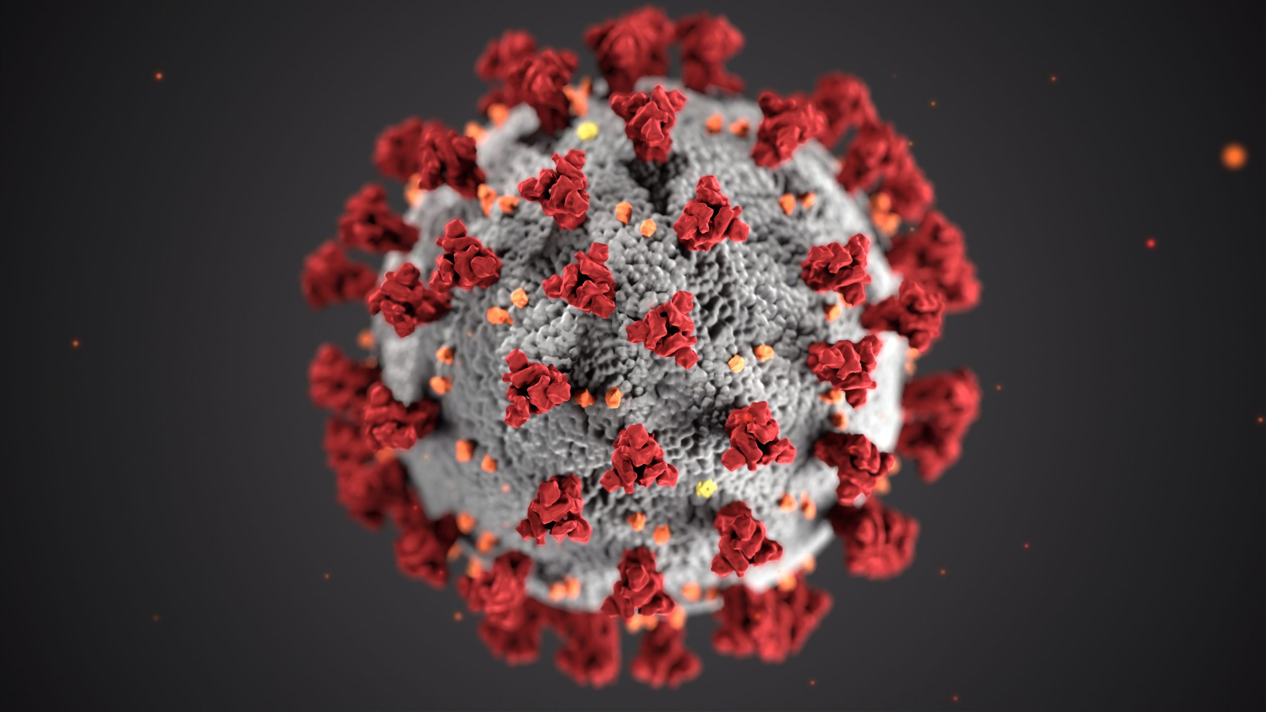 SARS-CoV-2 Virus